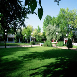 Parador Albacete grounds
